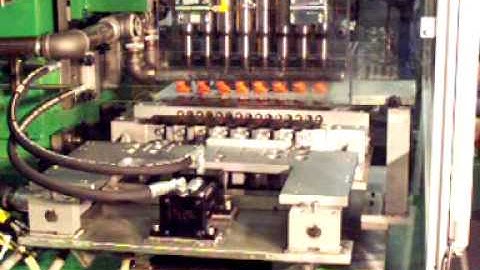 Automated Multiple Spindle Tapping Machine by Rockford-Ettco Procunier