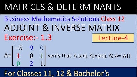 Adjoint & Inverse solutions | Business math solution class 12 | Business math solutions ex 1.3 | NEB
