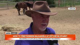 Balkaroğlu At Çiftliği’ne Ziyaret
