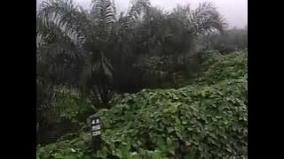 Boyank ajin maskawin Unin angen