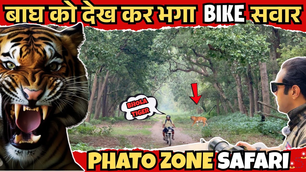 TIGER को देख कर भाग खड़ा हुआ बाइक सवार | PHATO ZONE | CORBETT TALES 