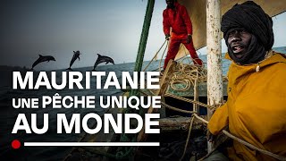 Mauritanie : Une pêche unique au Monde disparue - Imraguens - Documentaire Images inédites