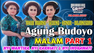 TAYUB TAWANG - KANOR - BOJONEGORO NYI WANTIKA, NYI KARNIATI, NYI INDRAWATI AGUNG BUDOYO MALAM PART 1