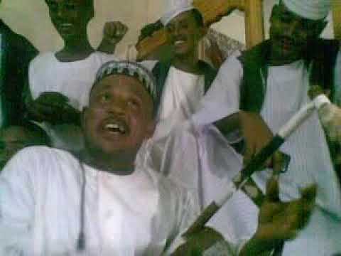 ود البله والعازف محمد حبشي راعي حق الريد