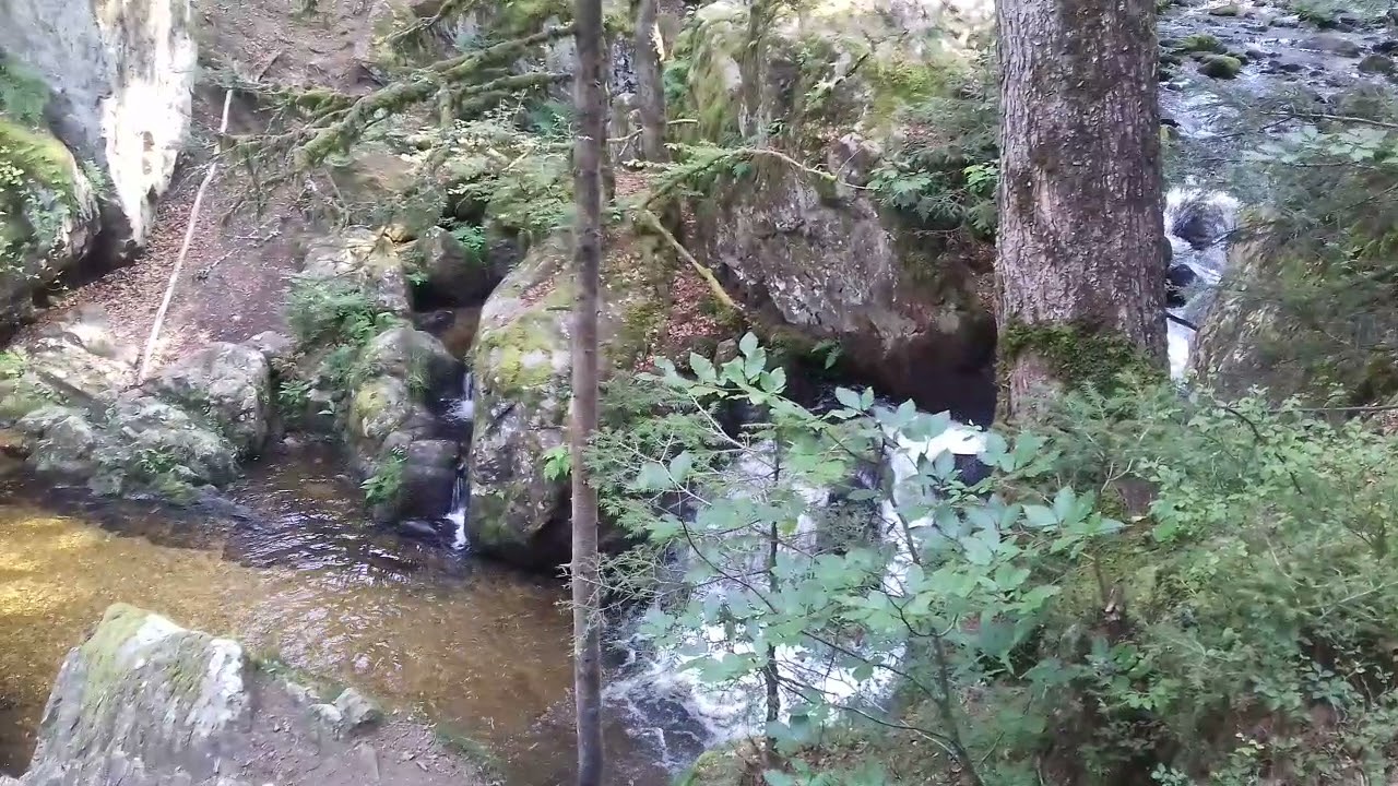Vosges  Petite Cascade du Grand Tendon