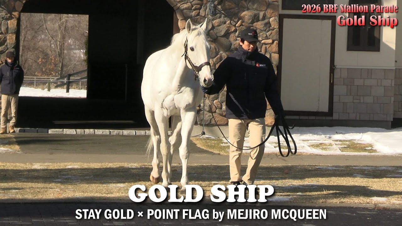 Gold Ship - Big Red Farm Stallion Parade 2026 (English Subtitles)