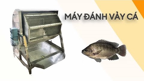 Máy đánh vảy cá rô phi