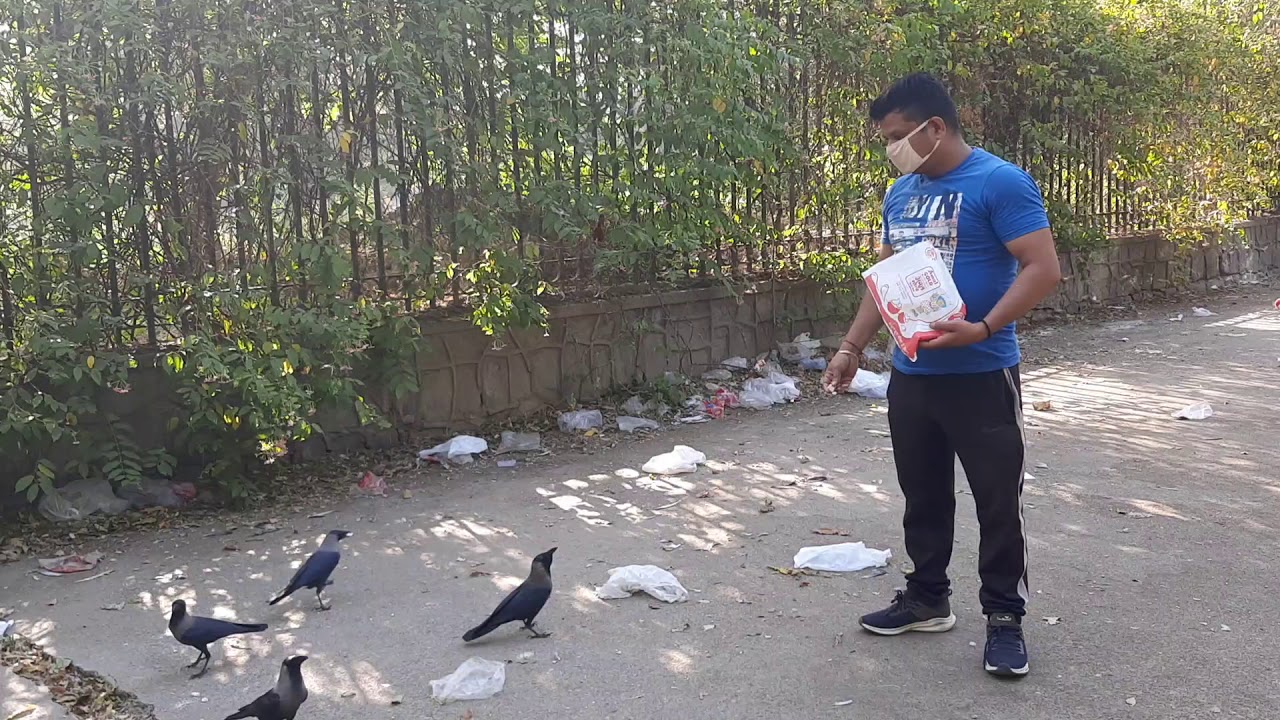 pakshiyon-ka-bhi-khyal-rakhna-chahie-youtube