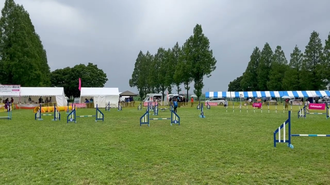 りぼん 本部＠吉見 2024チーム戦JP アビたん_きこちゃんver