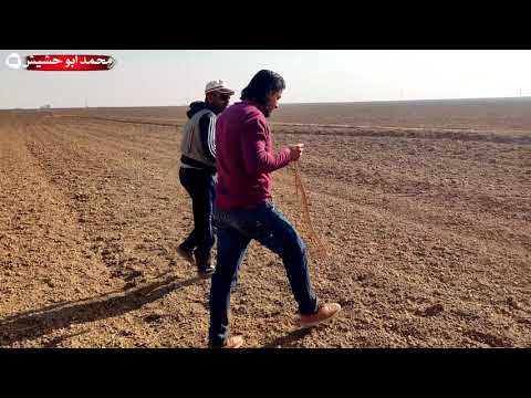 من بين اقدام الصيادين يصطاد ابو حشيش افعى النار كادت ان تقتل الصيادين
