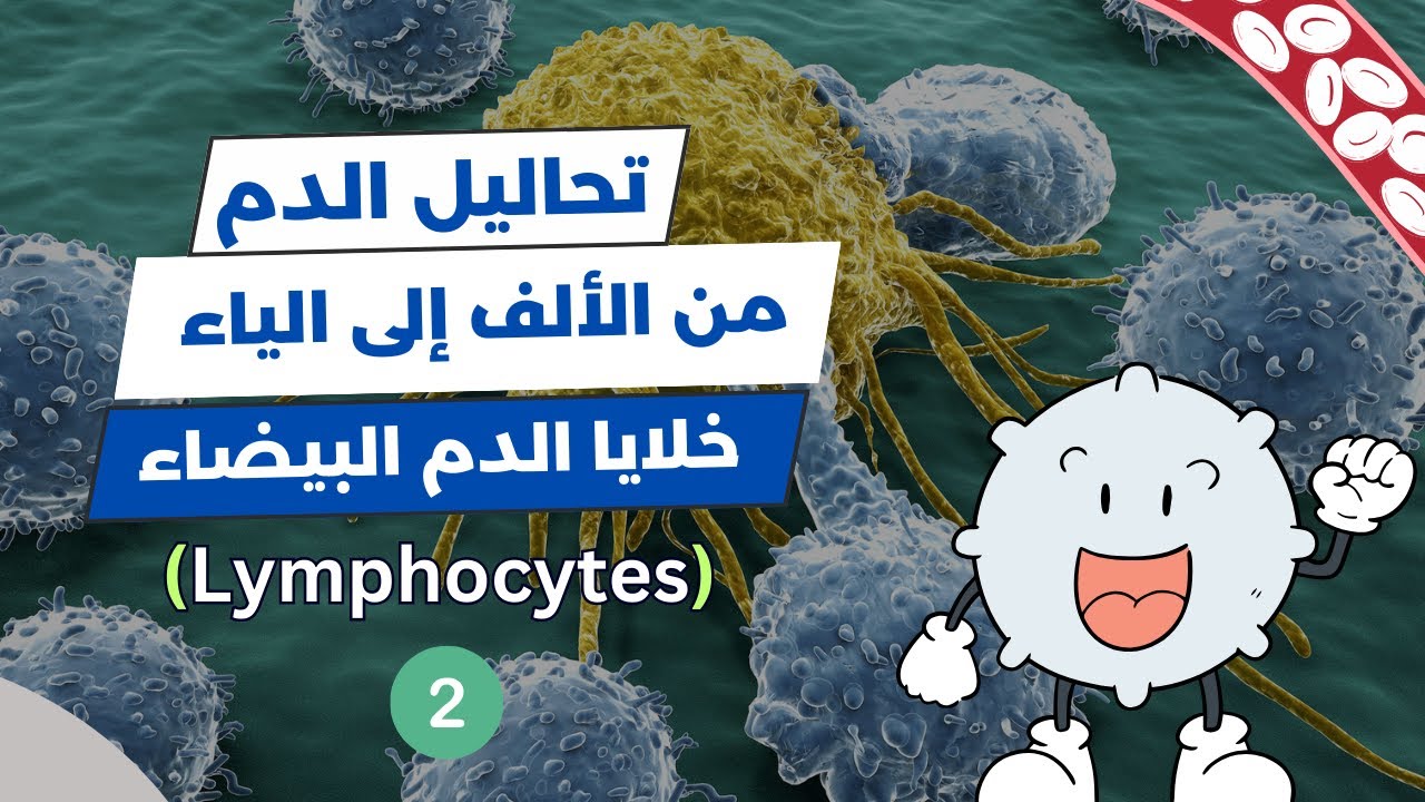 تعداد خلايا الدم البيضاء (WBC Count) | تحليل الدم الشامل | اللمفاويات (Lymphocytes) 🔬