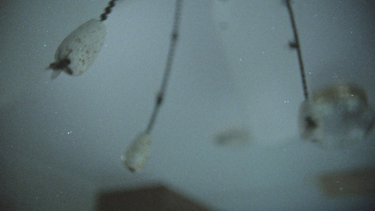 GHOSTWOMAN // "that Jesus" [Official Video] video thumbnail