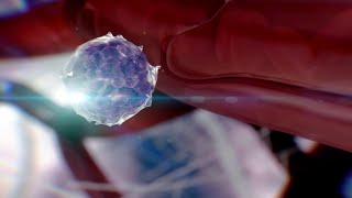 Mast Cell Histamine Response (MOD)