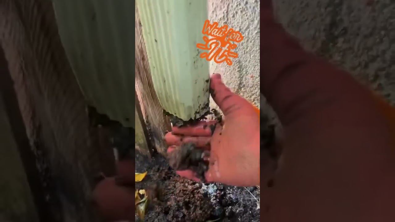 Explosive Downspout Ejection