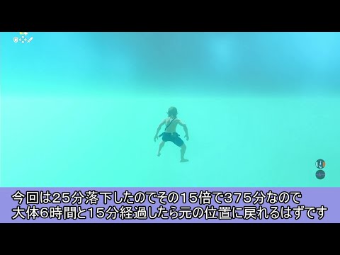 依頼を受けて、無限落下中のリンクさんが上昇したら崩れた顔が戻るのか確かめてみた