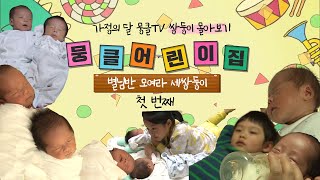 [뭉클 어린이집🐣][별님반⭐#1] 모여라 세 쌍둥이! 으랏차차 세 쌍둥이 | KBS 130225-0301 방송