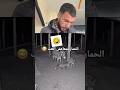 الحمار ممعاهش اللعب
