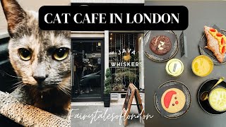 Cat café in central London I Java Whiskers Cat Cafe I Cat Cafe London Java Whiskers UK I Marylebone