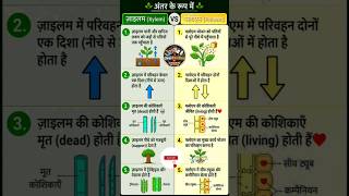 जाइलम और फ्लोएम में अंतर | Xylem vs Phloem | Class 10 | Science Biology #education #science #shorts