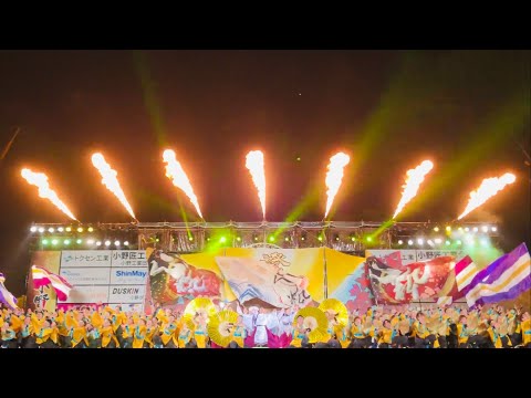 京都よさこい連心粋 「澄晴」 おの恋おどり2019 大型チーム部門 銀賞演舞