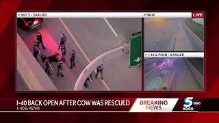 Eastbound I-40 in Oklahoma City reopens after loose cow rescued