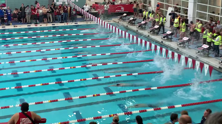 100 Freestyle, Andrew DiFiore, Armando Indressano