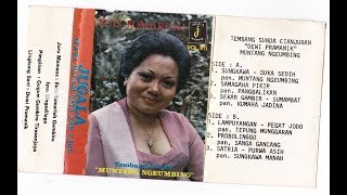 Download Lagu Euis Komariah - Lampuyangan - Pegat Jodo - Tepung Munggaran MP3