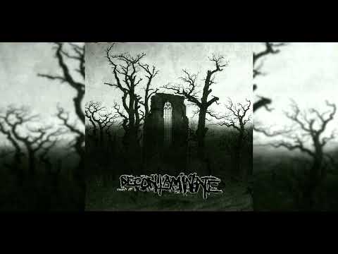 Decontaminate — decontaminate - discography (full album) timestamps