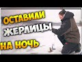 Что будет если поставить жерлицы на ночь?  (Попытка № 1).