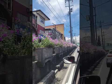 Flowers sa centro ng Magsaysay Avenue