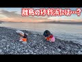 奥さんと子供達が何かを探し始めました…