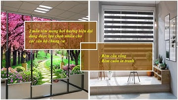 Tư vấn chọn rèm cuốn cầu vông, rèm cuốn in tranh cho căn hộ chung cư