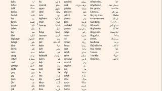 معاني كلمات بالغة التركية / كلمات الوحدة الأولى من كتاب اسطنبول