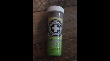 two cats enjoying some cat nip!