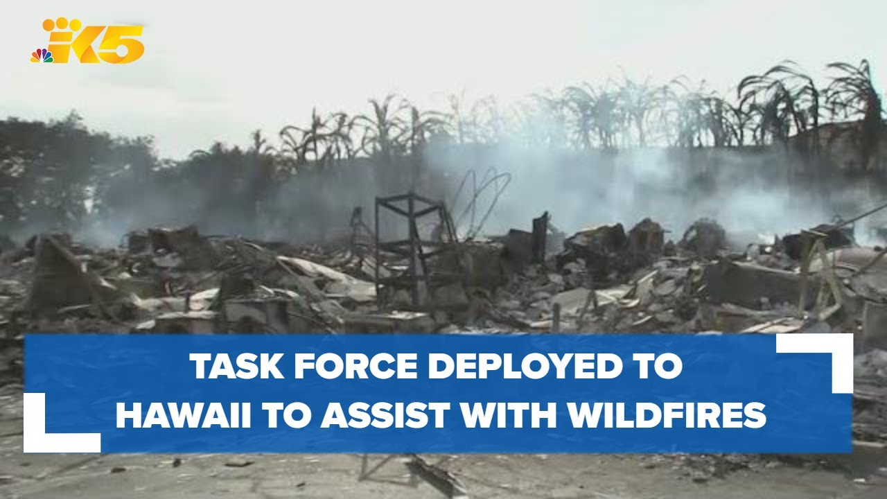 Washington task force deployed to Hawaii to assist with Maui wildfires ...