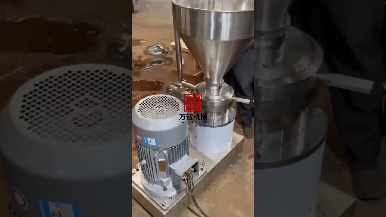 Carrot Puree Grinder - Multifunctional Stainless Steel Colloid Mill(304/316) - Wanzhi Machinery
