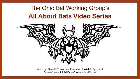 Bats in Buildings by Danielle Thompson, Brown Co. ...