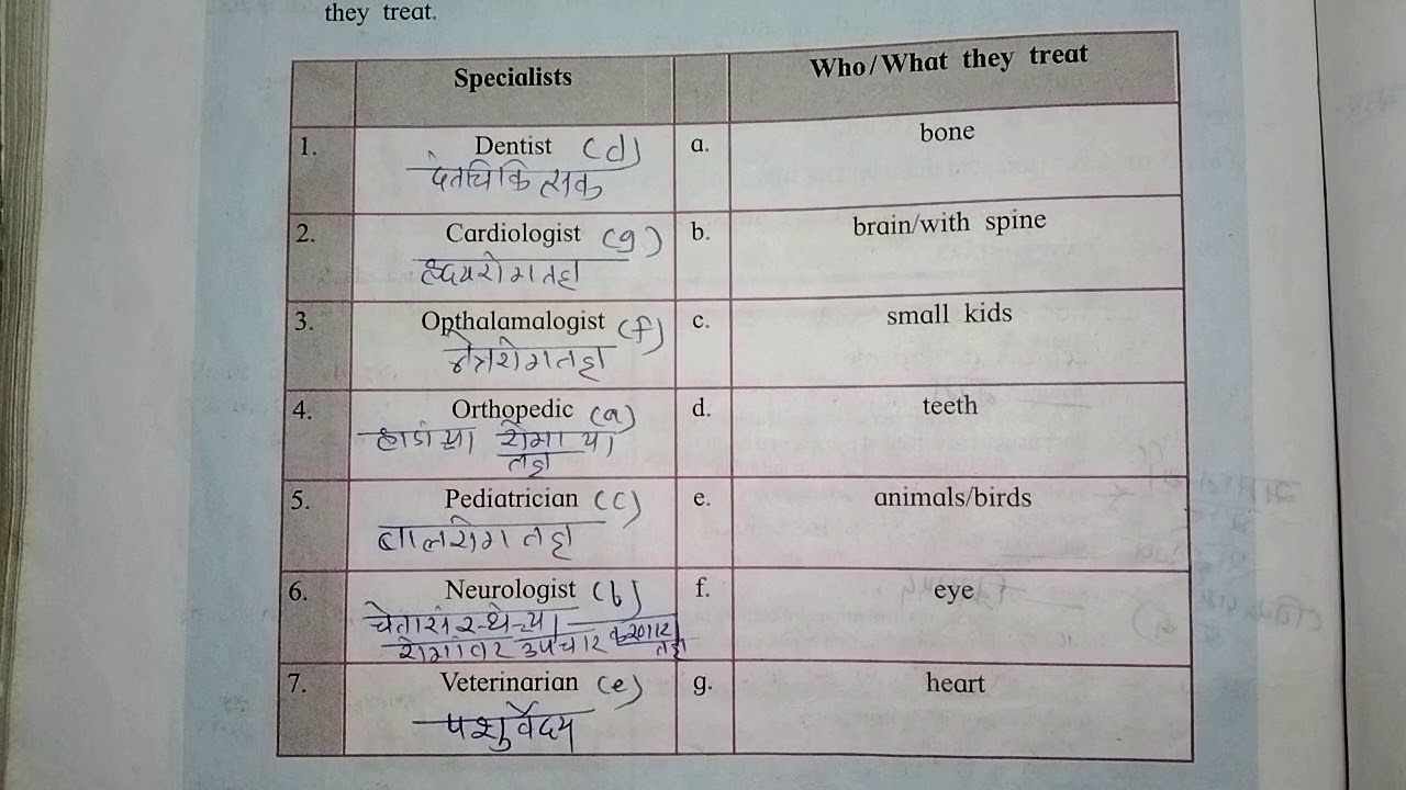 4.1 The Vet Chit-Chat