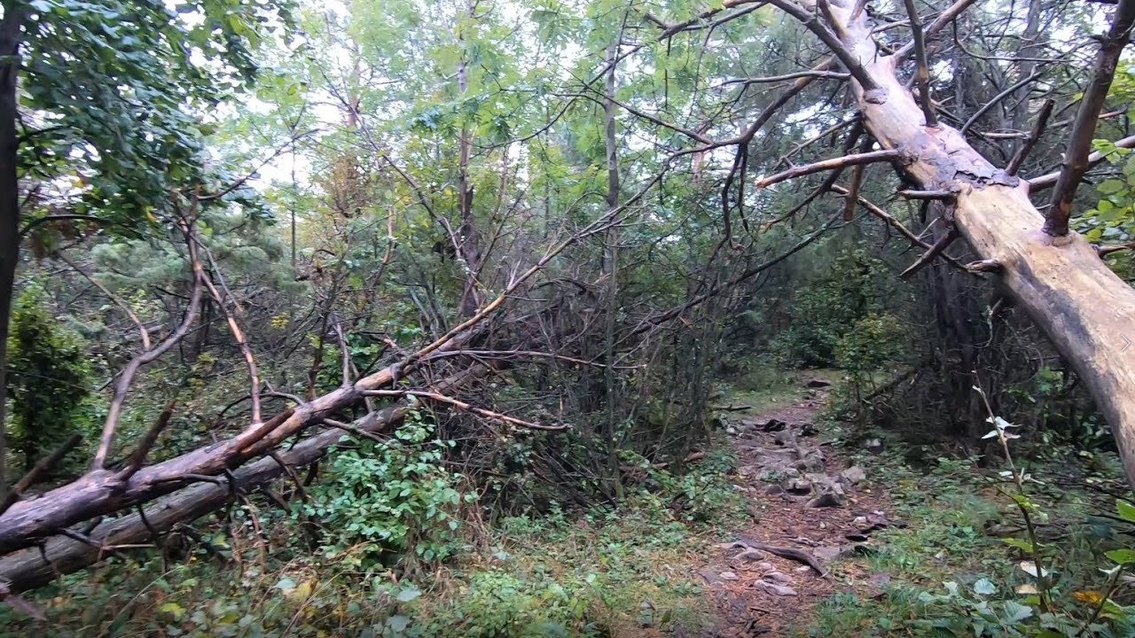 Zadielska planina - Unique Forest of Slovak Karst National Park, Slovakia - UNESCO - 2,7k