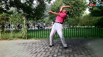 Cheng Bagua Master Liu Jingru at 81 years of age