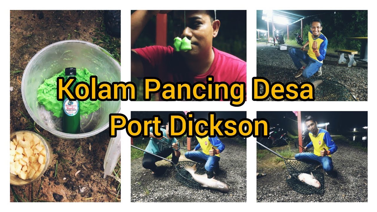 Strike Ikan Patin Kolam Sifu Lan Lubuk (Kolam Pancing Desa Port Dickson) + Pandan Mix Honeydew