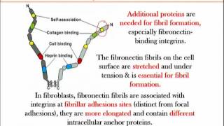 BIO734_Topic155