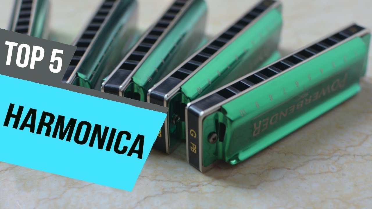 5 Best Harmonica 2019 Reviews YouTube