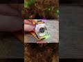 Garmin Venu 4 First Impressions! The Fitness Smartwatch Reimagined