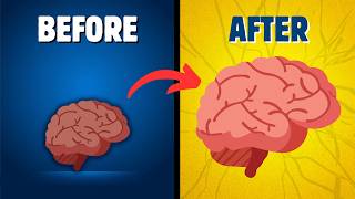 This Is How Studying Physically Changes Your Brain