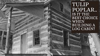 Is Poplar the BEST choice of wood when Building a LOG CABIN?... Handmade House TV #168