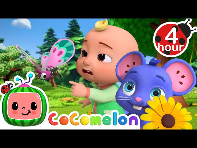Catch The Butterfly Song (Can JJ Catch Them All?) | Cocomelon - Nursery Rhymes | Cartoons For Kids class=