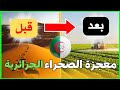 كيف تحولت صحراء الجزائر إلى مزارع خضراء مشاريع ضخمة لتحقيق الأمن الغذائي كيف تحولت صحراء الجزائر إلى مزارع خضراء مشاريع ضخمة لتحقيق الأمن الغذائي