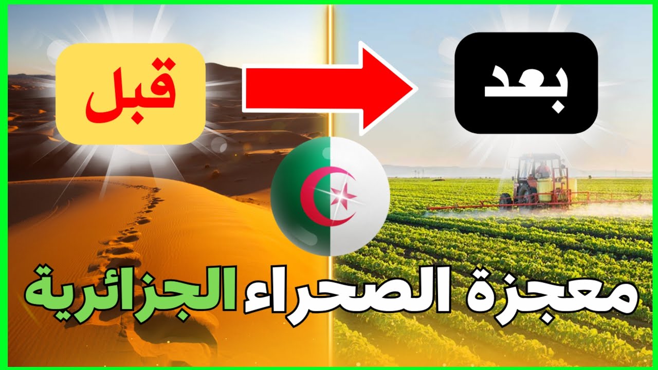 ✅كيف تحولت صحراء الجزائر إلى مزارع خضراء؟ | مشاريع ضخمة لتحقيق الأمن الغذائي