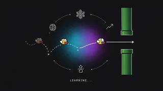 Details I Simulated Natural Selection to Beat Flappy Bird Update